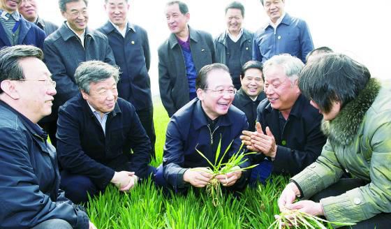 2016年10月6日國家學科小麥栽培方向?qū)W術帶頭人郭天財教授蒞臨指導